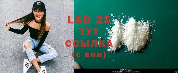 стаф Аркадак