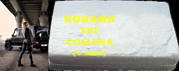 стаф Аркадак