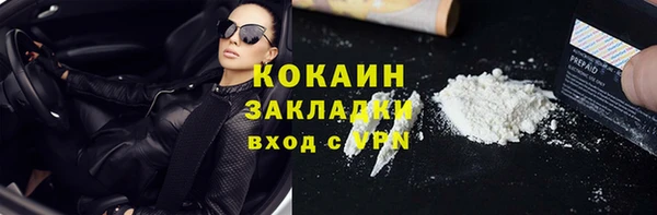 стаф Аркадак