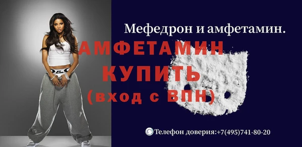 стаф Аркадак