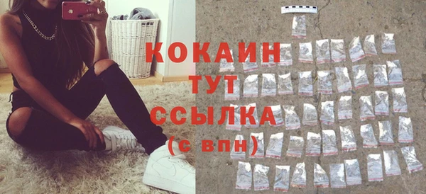 стаф Аркадак
