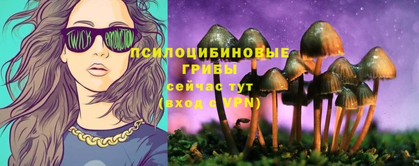 стаф Аркадак