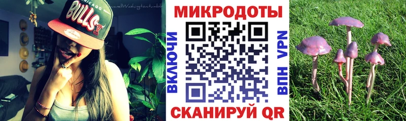 Галлюциногенные грибы Cubensis  MEGA как зайти  Брянск 